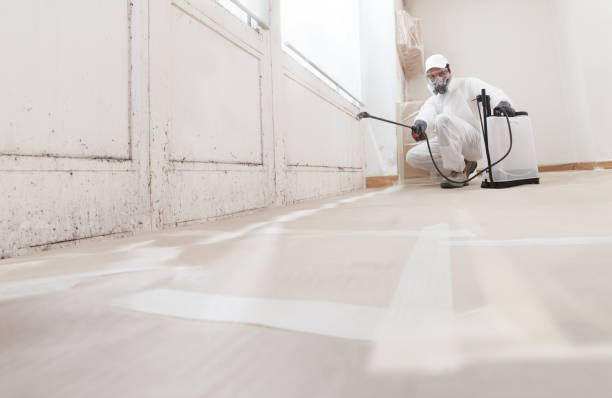 Trusted Commercial Mold Remediation service in Lakewood, NY - WQB Mold Removal